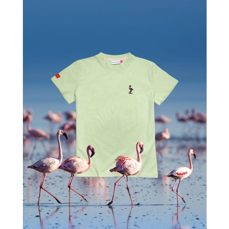 T-shirt damski Basic z flamingiem karmazynowym - pistacjowy